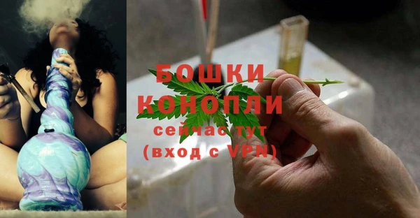apvp Горняк