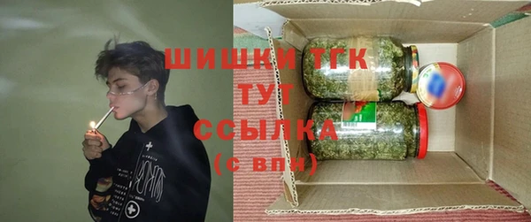 apvp Горняк