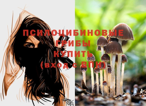 бутират Горно-Алтайск