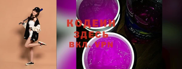 apvp Горняк