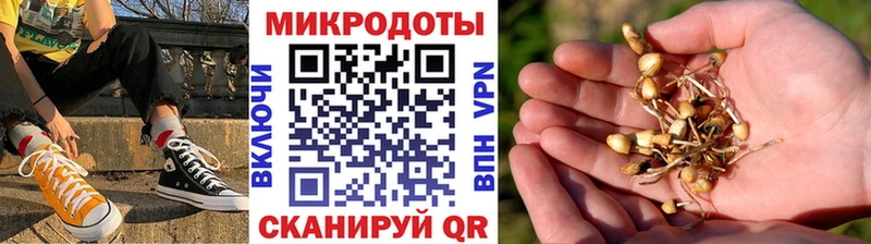 Купить где  Поворино  Галлюциногенные грибы ЛСД 