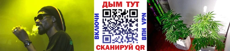 Купить где Поворино Бошки марихуана VHQ